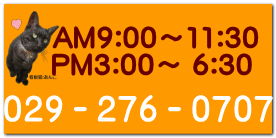 AM9:00`11:30  PM3:00` 6:30